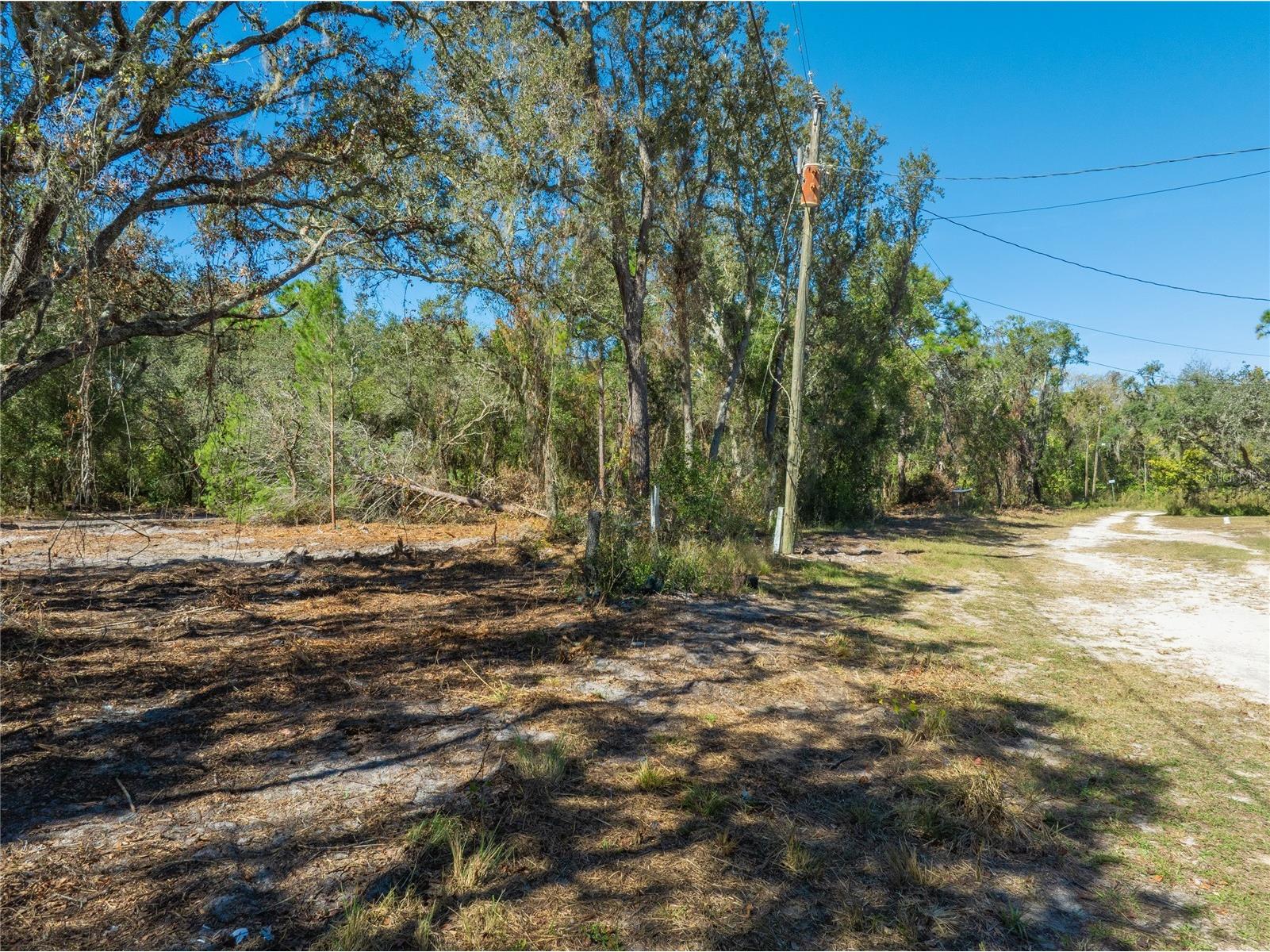 TBD Gilbert Street New Port Richey FL 34654 TB8348587 image7