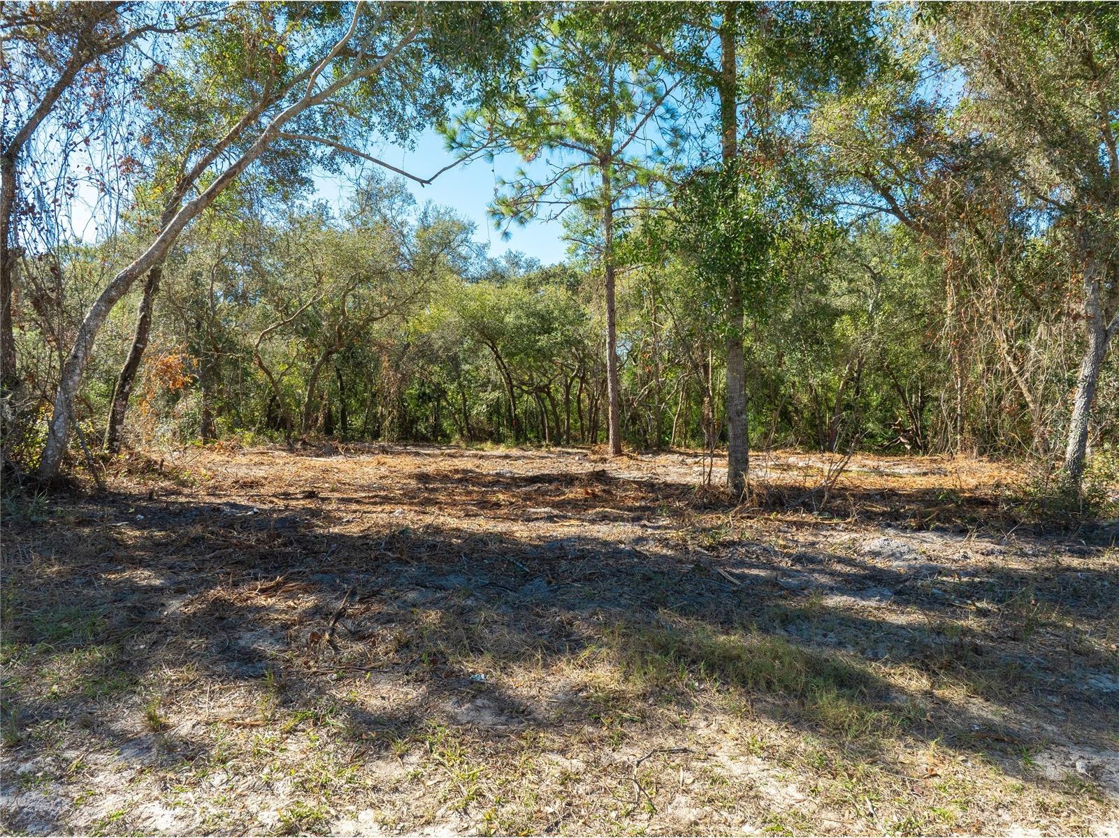 TBD Gilbert Street New Port Richey FL 34654 TB8348587 image8