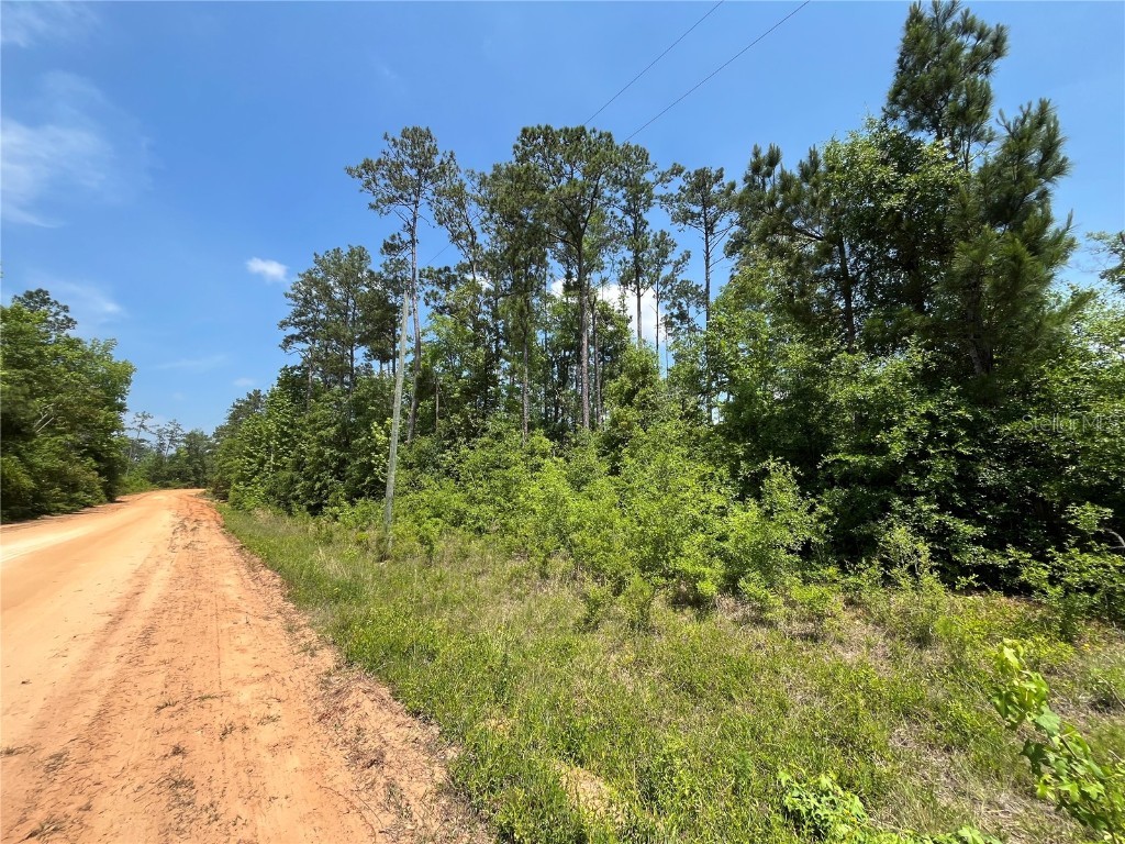 TBD Grand Quiviera Circle Alford FL 32420 OK225316 image2