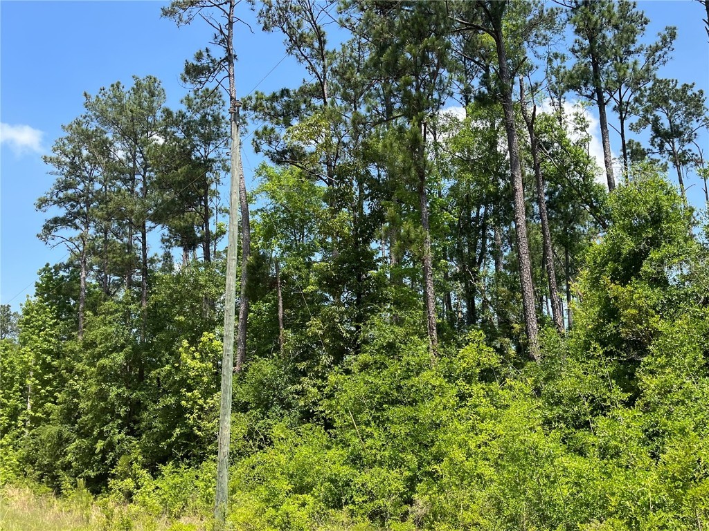 TBD Grand Quiviera Circle Alford FL 32420 OK225316 image3