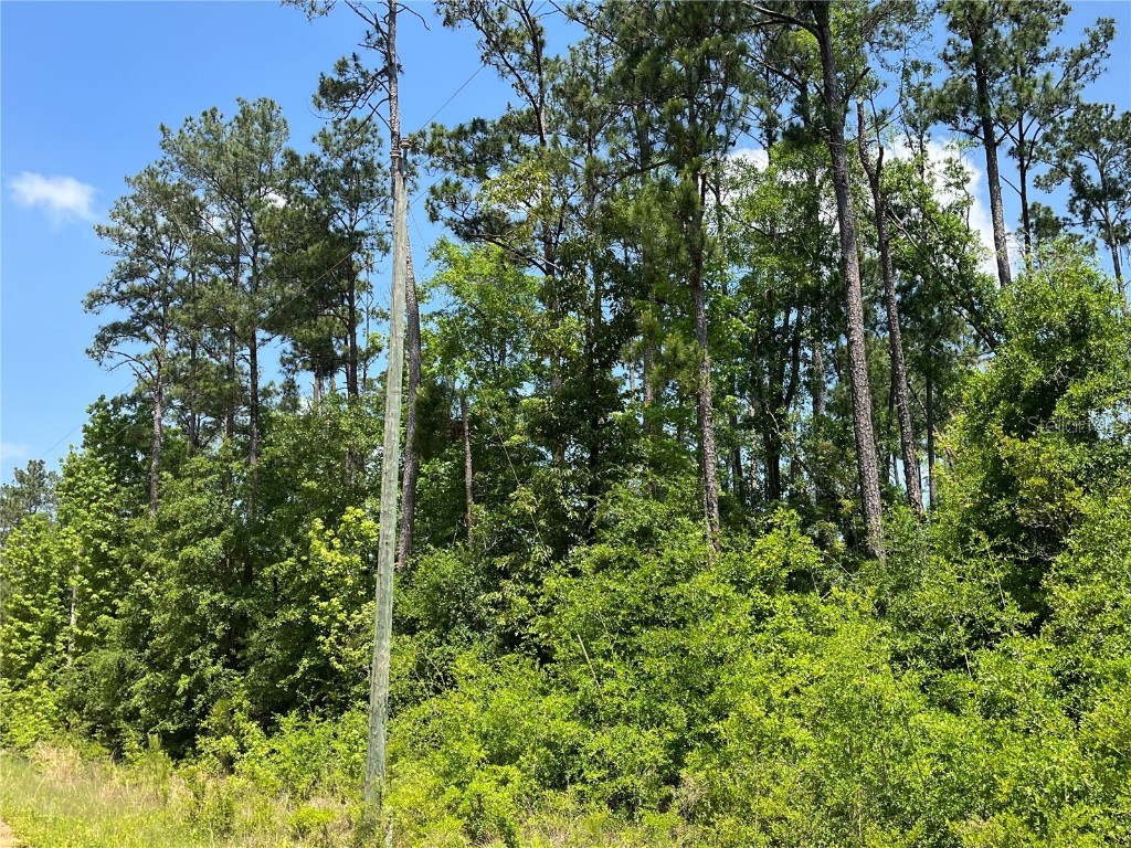 TBD Grand Quiviera Circle Alford FL 32420 OK225316 image4