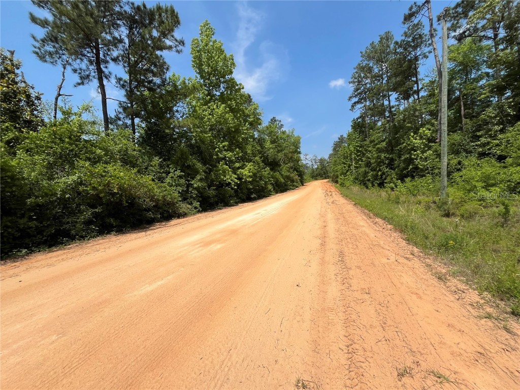 TBD Grand Quiviera Circle Alford FL 32420 OK225316 image5