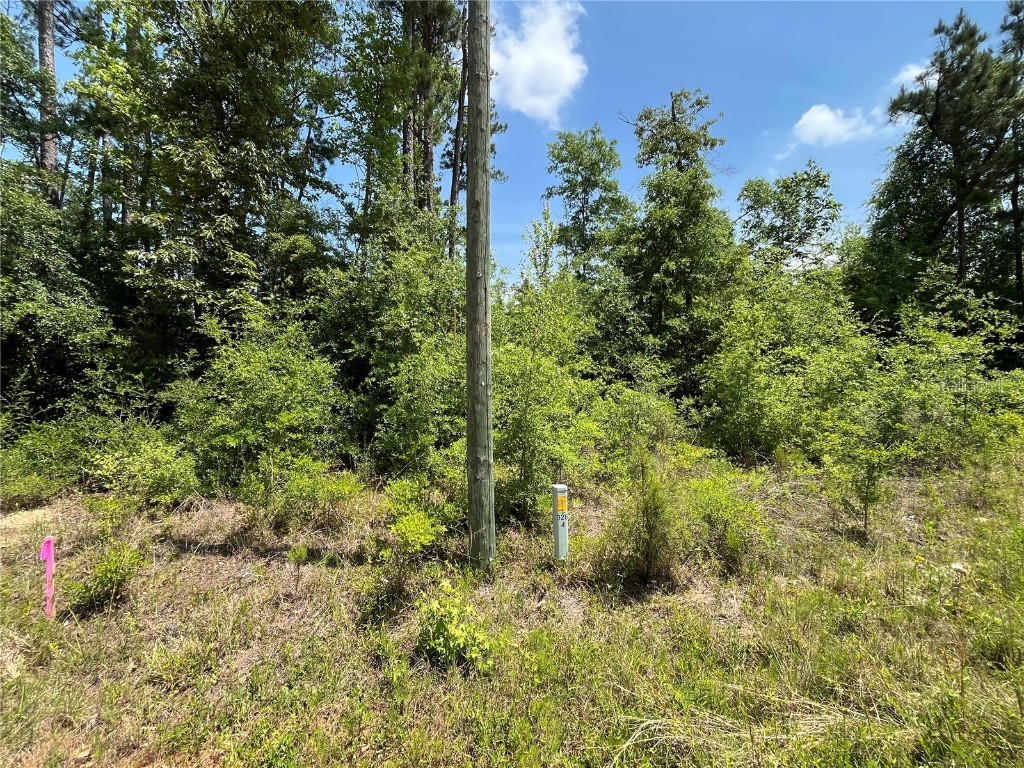 TBD Grand Quiviera Circle Alford FL 32420 OK225316 image7