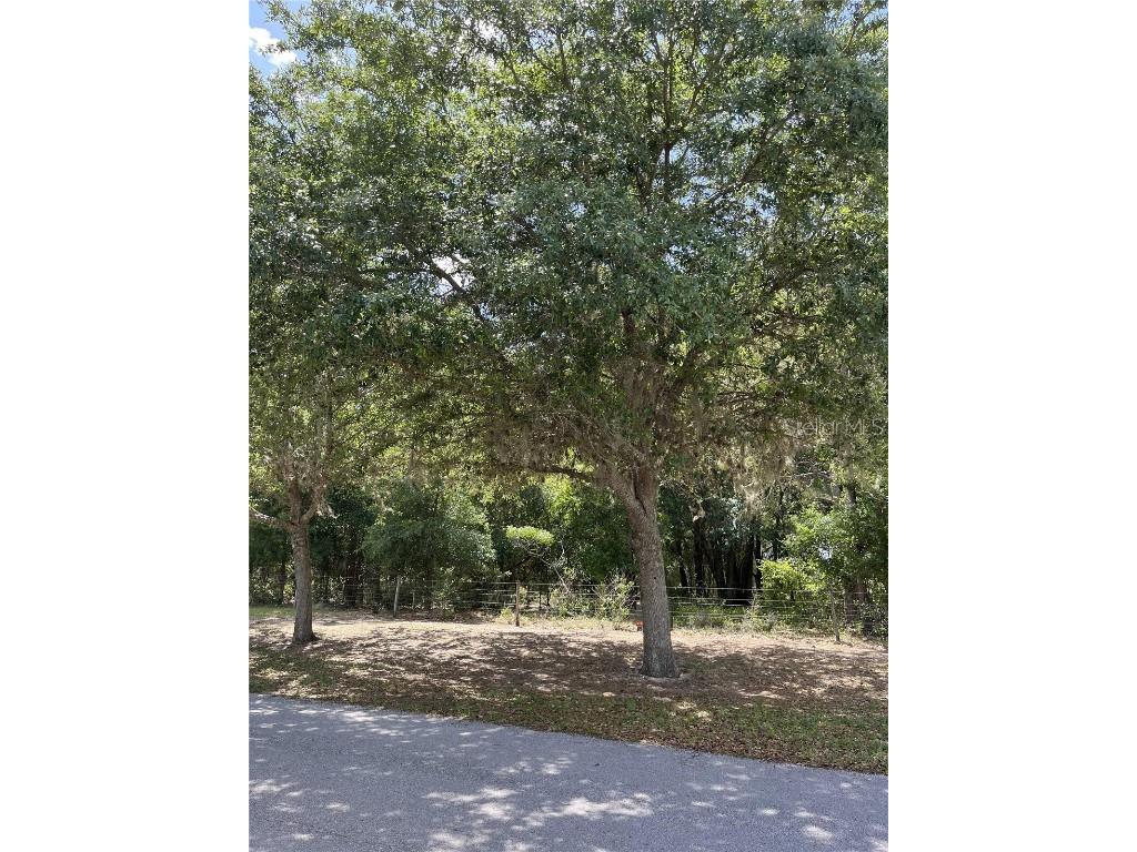 TBD Grass Roots Road Groveland FL 34736 G5094325 image1