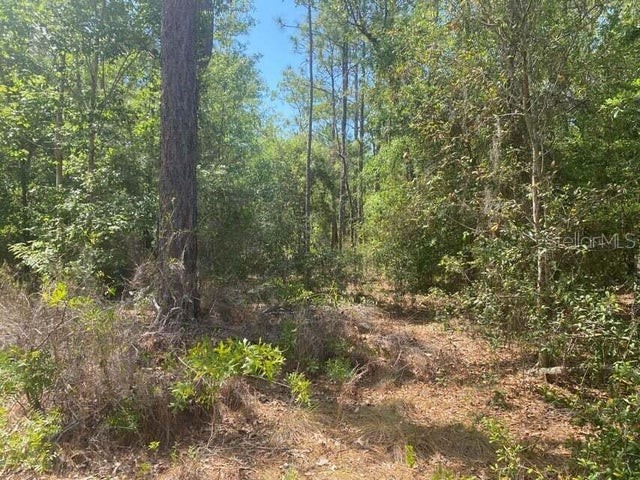 TBD Grenock Street Interlachen FL 32148 OK222988 image1