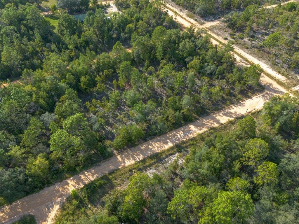 TBD Grey Street E Interlachen FL 32148 GC534278 image10