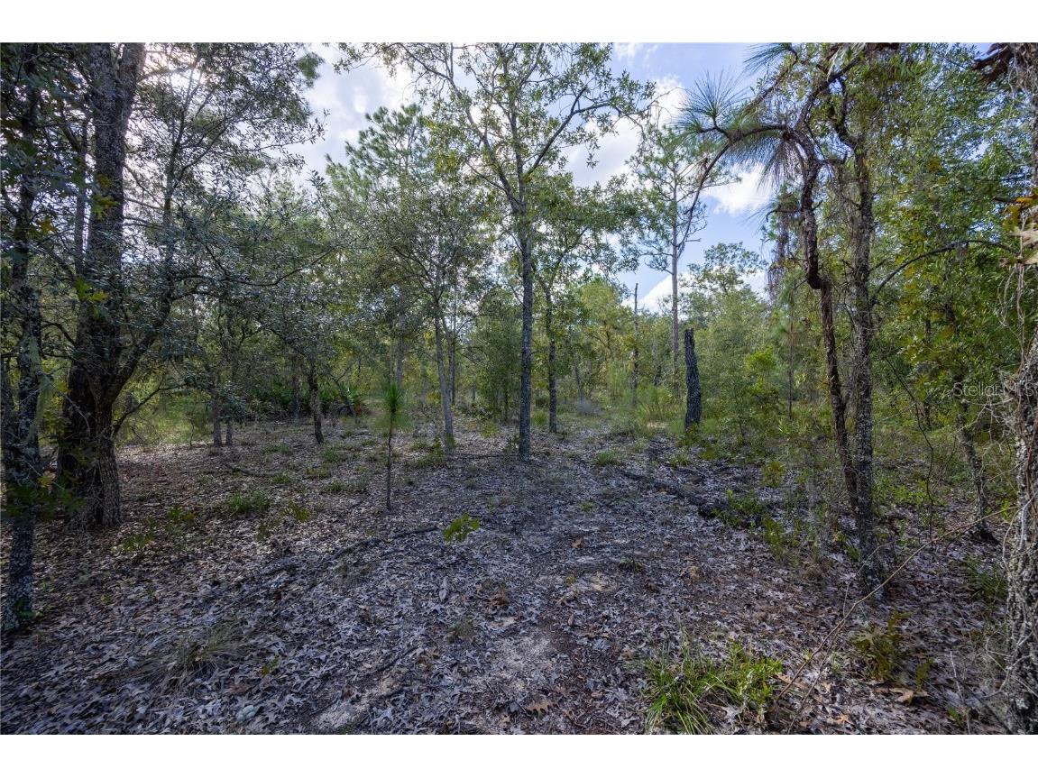 TBD Grey Street E Interlachen FL 32148 GC534278 image11