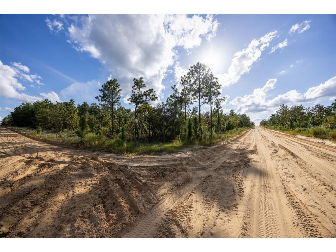 TBD Grey Street E Interlachen FL 32148 GC534278 image12