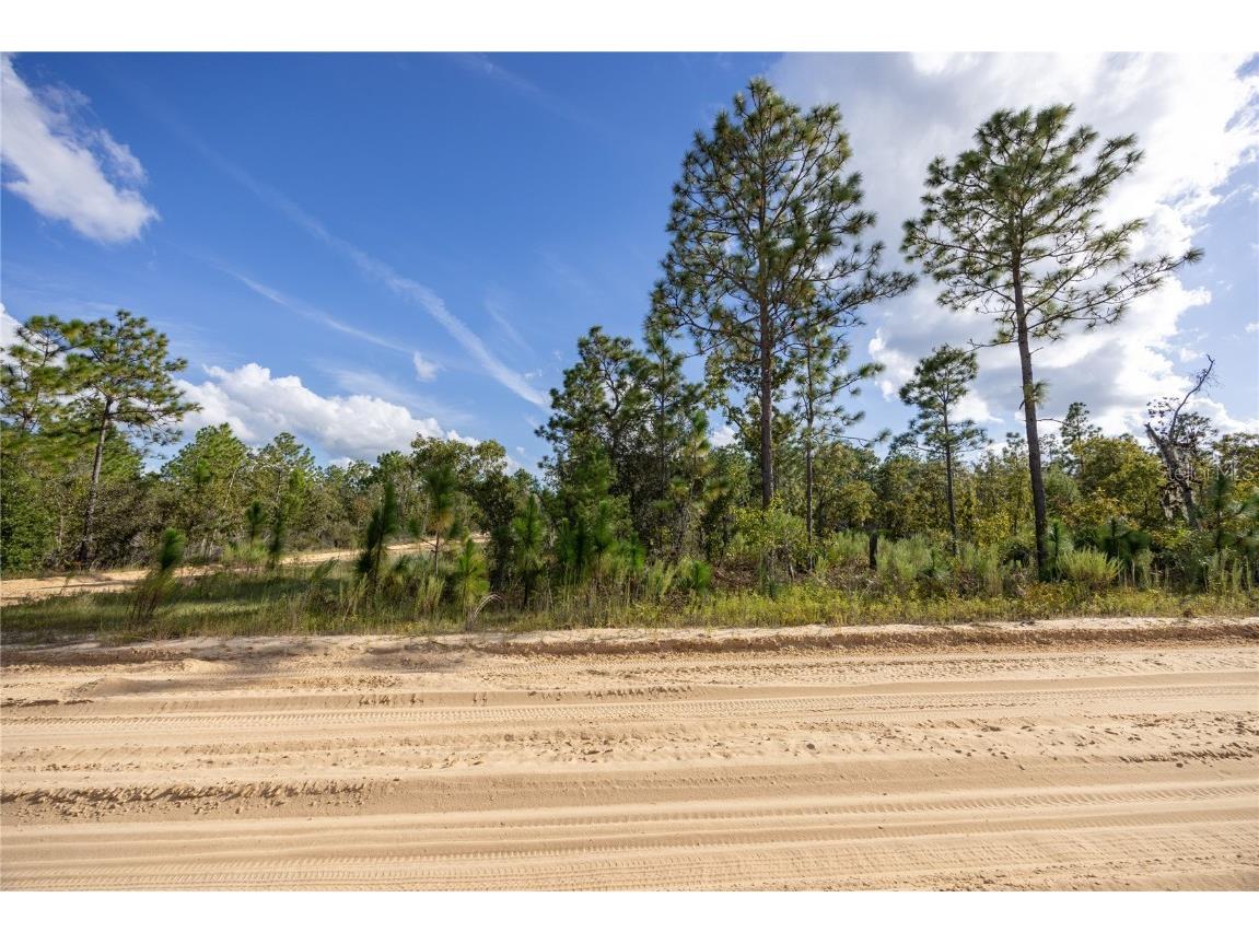 TBD Grey Street E Interlachen FL 32148 GC534278 image13