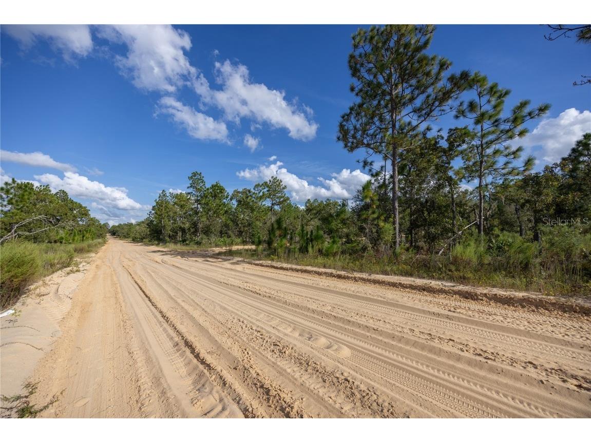 TBD Grey Street E Interlachen FL 32148 GC534278 image14