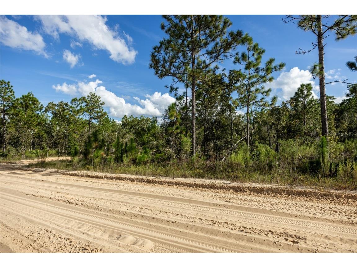 TBD Grey Street E Interlachen FL 32148 GC534278 image15