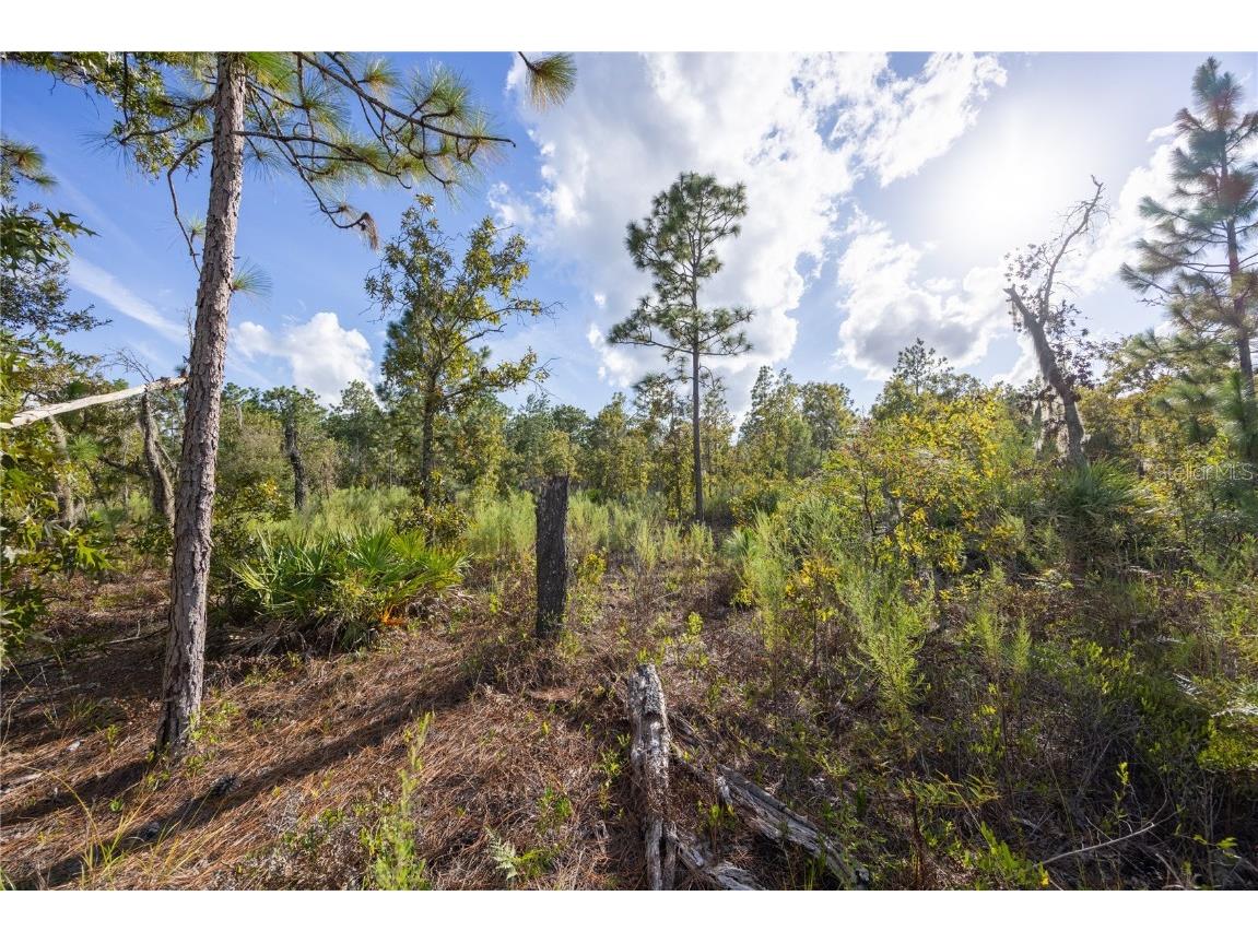 TBD Grey Street E Interlachen FL 32148 GC534278 image16