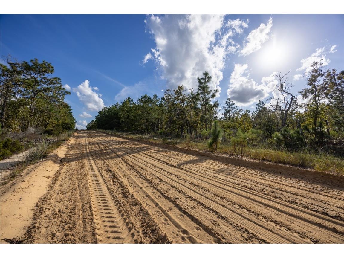 TBD Grey Street E Interlachen FL 32148 GC534278 image17