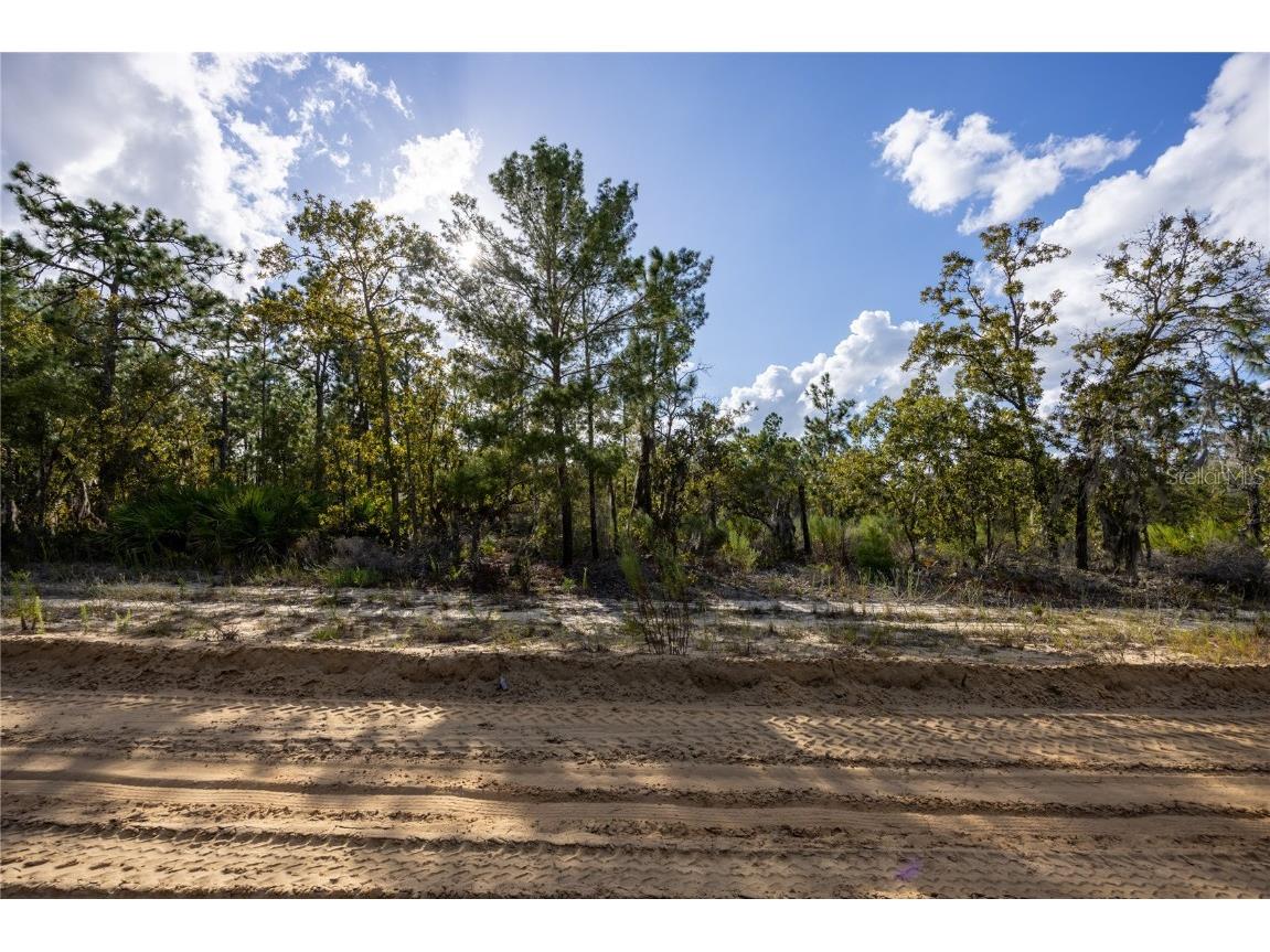 TBD Grey Street E Interlachen FL 32148 GC534278 image18
