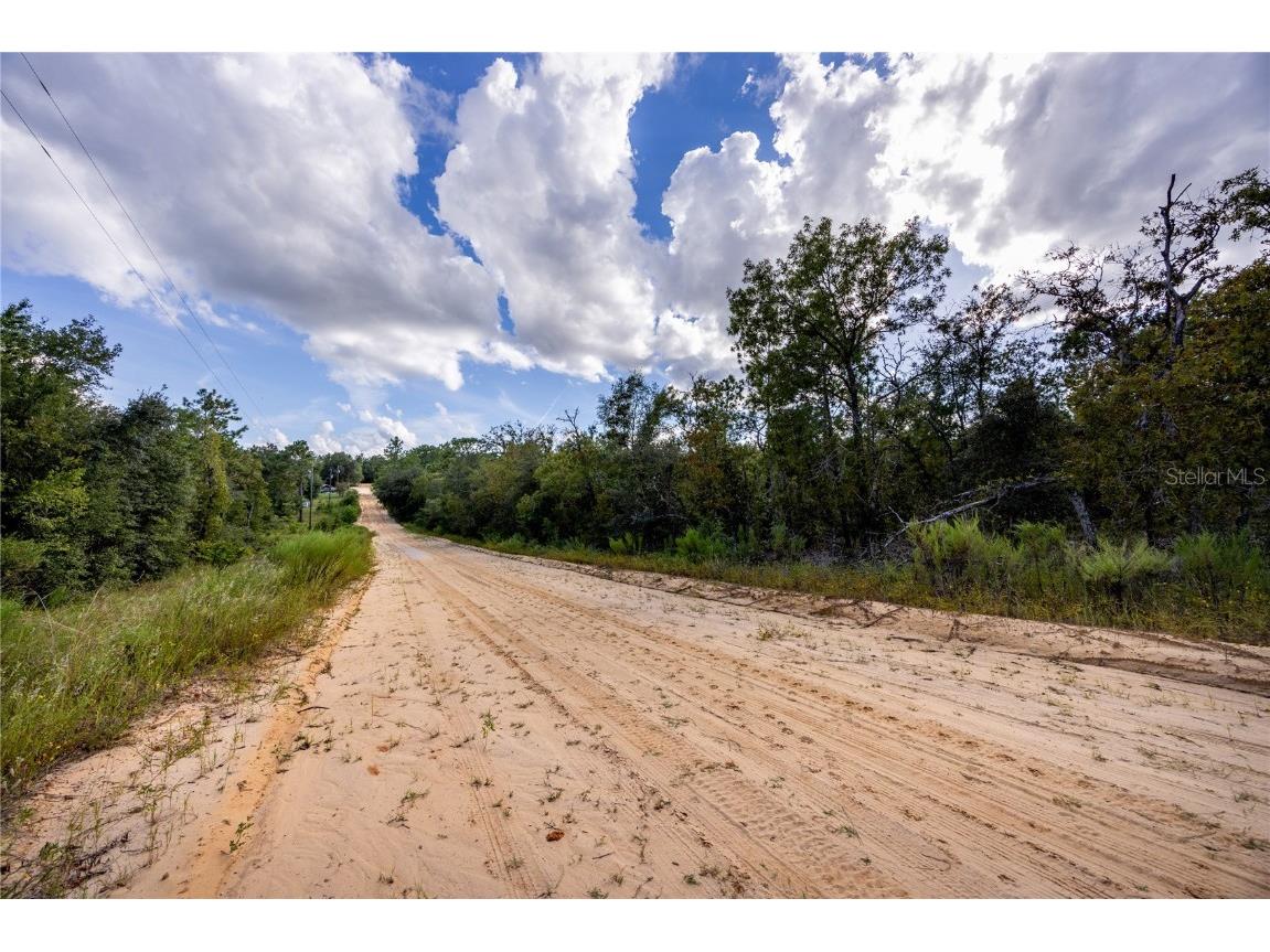 TBD Grey Street E Interlachen FL 32148 GC534278 image19