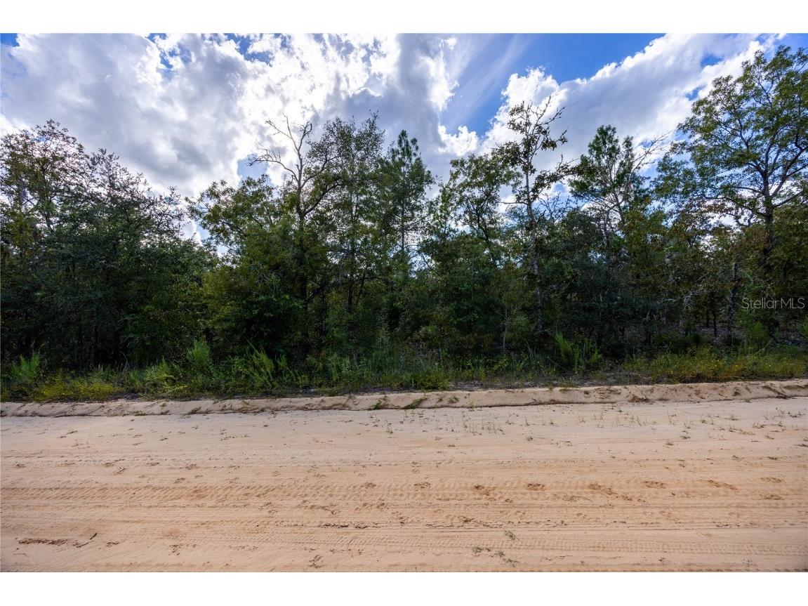 TBD Grey Street E Interlachen FL 32148 GC534278 image20