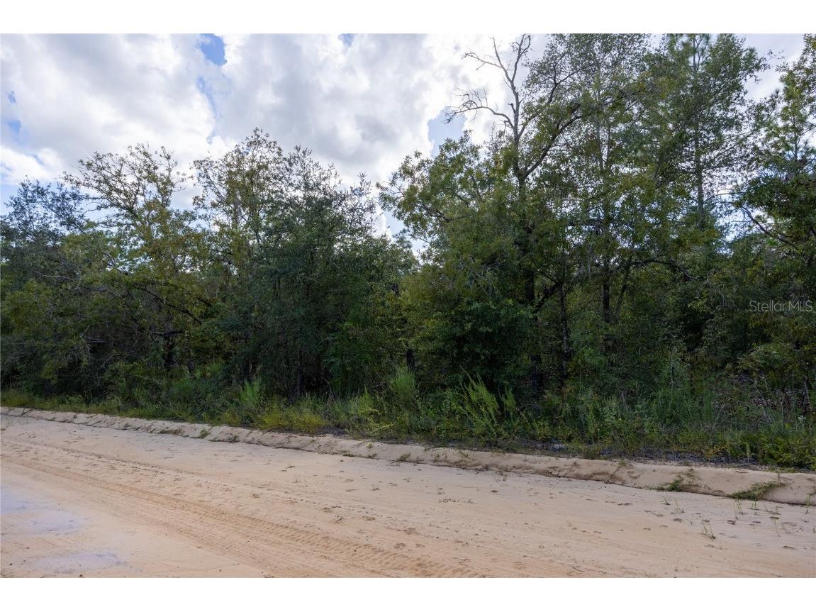 TBD Grey Street E Interlachen FL 32148 GC534278 image21