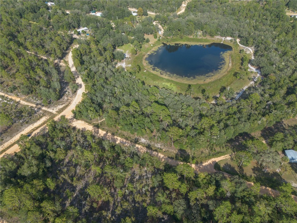 TBD Grey Street E Interlachen FL 32148 GC534278 image3