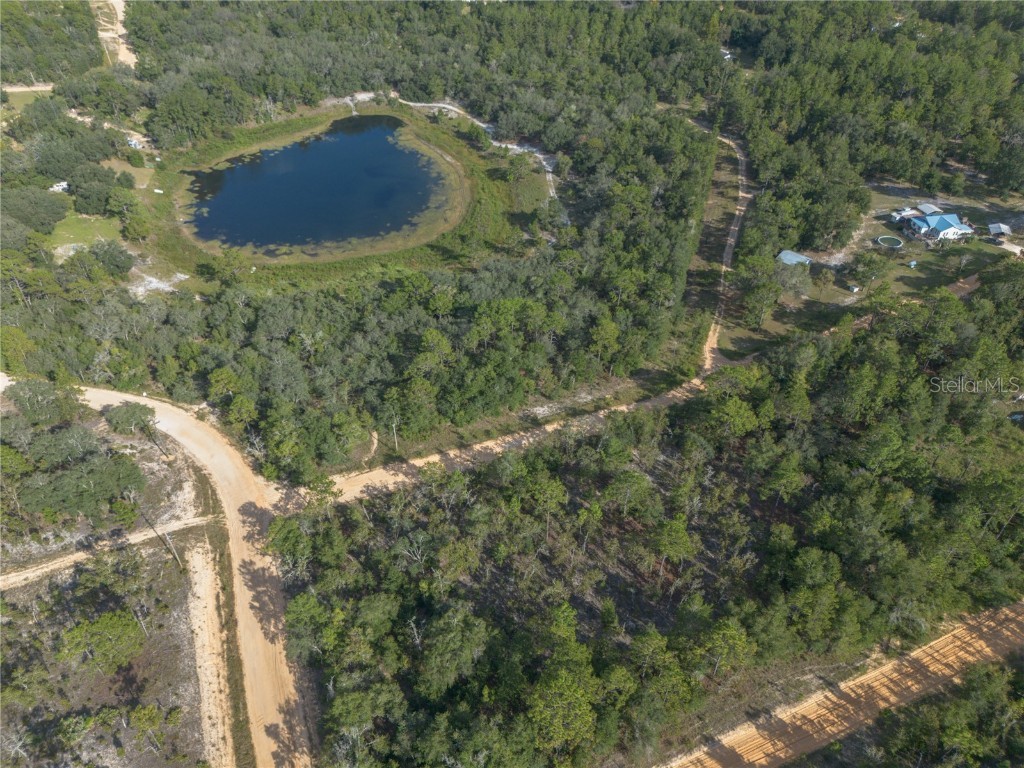 TBD Grey Street E Interlachen FL 32148 GC534278 image4