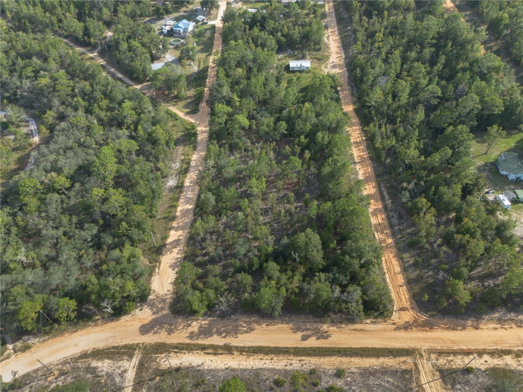 TBD Grey Street E Interlachen FL 32148 GC534278 image5