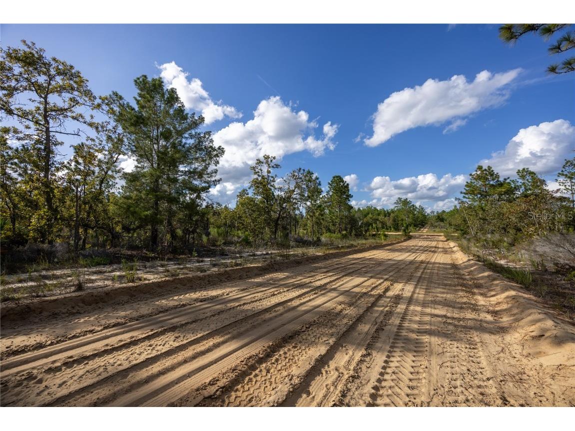 TBD Grey Street E Interlachen FL 32148 GC534278 image6