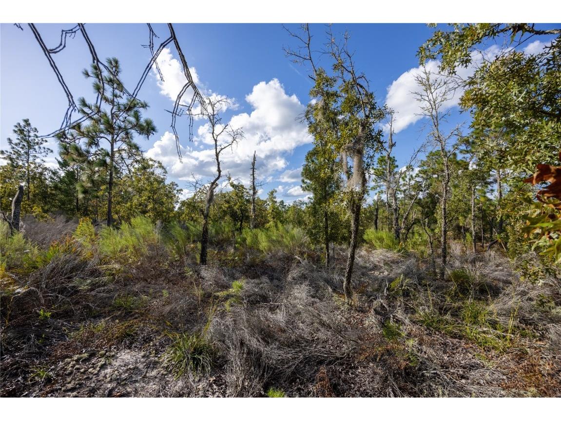 TBD Grey Street E Interlachen FL 32148 GC534278 image7