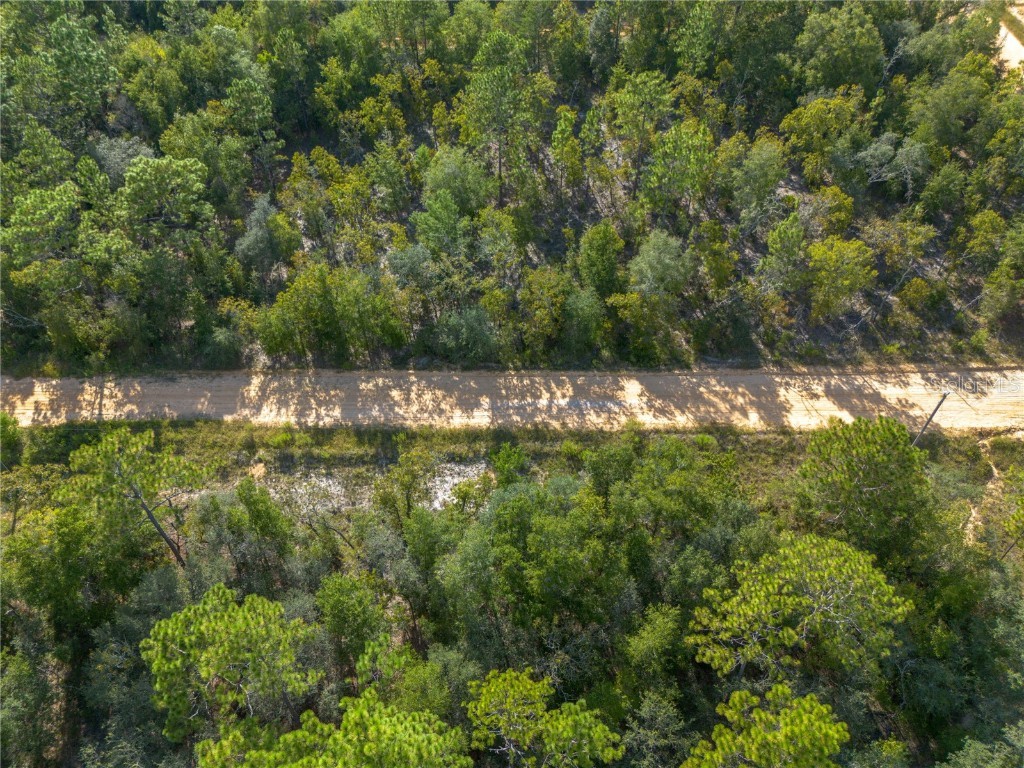 TBD Grey Street E Interlachen FL 32148 GC534278 image9