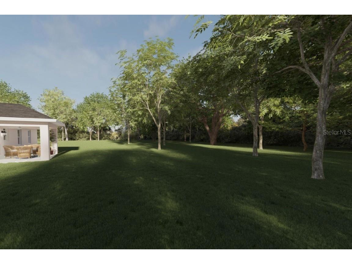 TBD Guava Lane Ocklawaha FL 32179 OM682088 image32