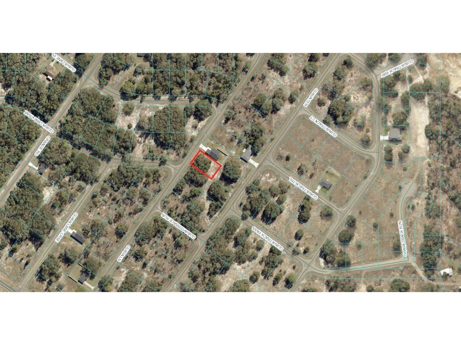 TBD Guava Ln Ocklawaha FL 32179 OM706369 image1