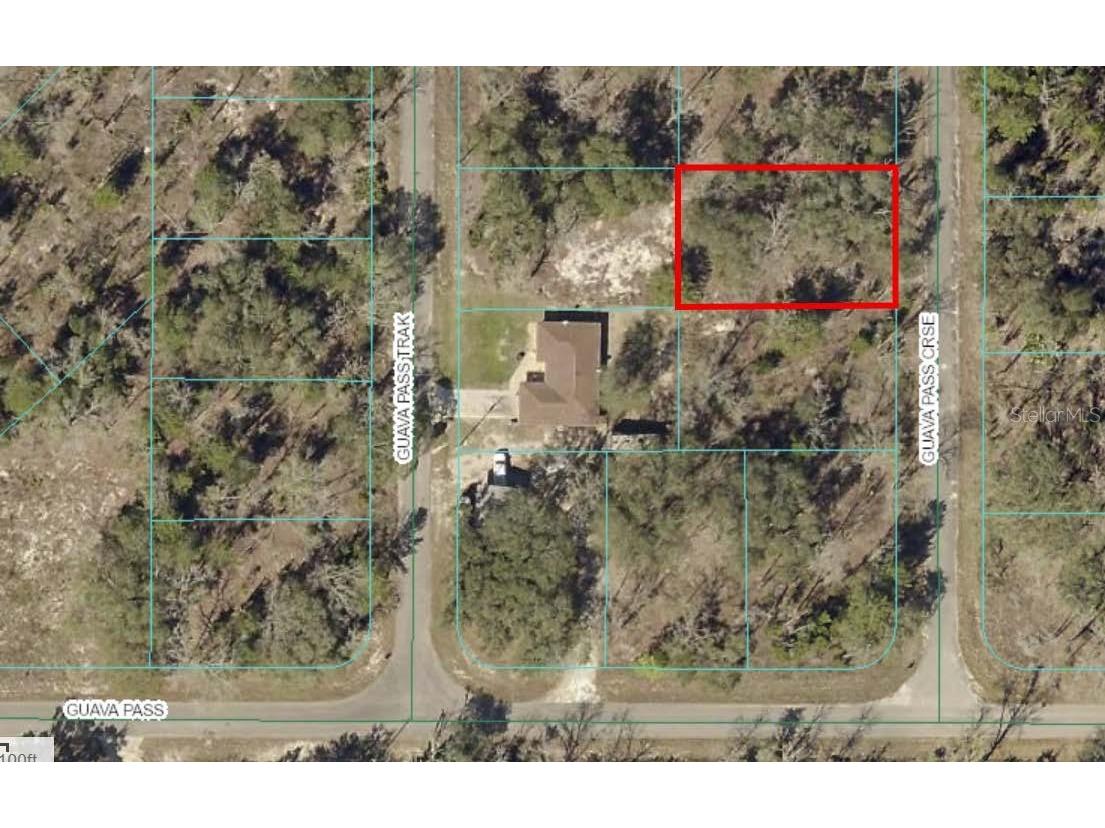 TBD Guava Pass Crossing Crossing #5 Ocklawaha FL 32179 TB8397130 image1