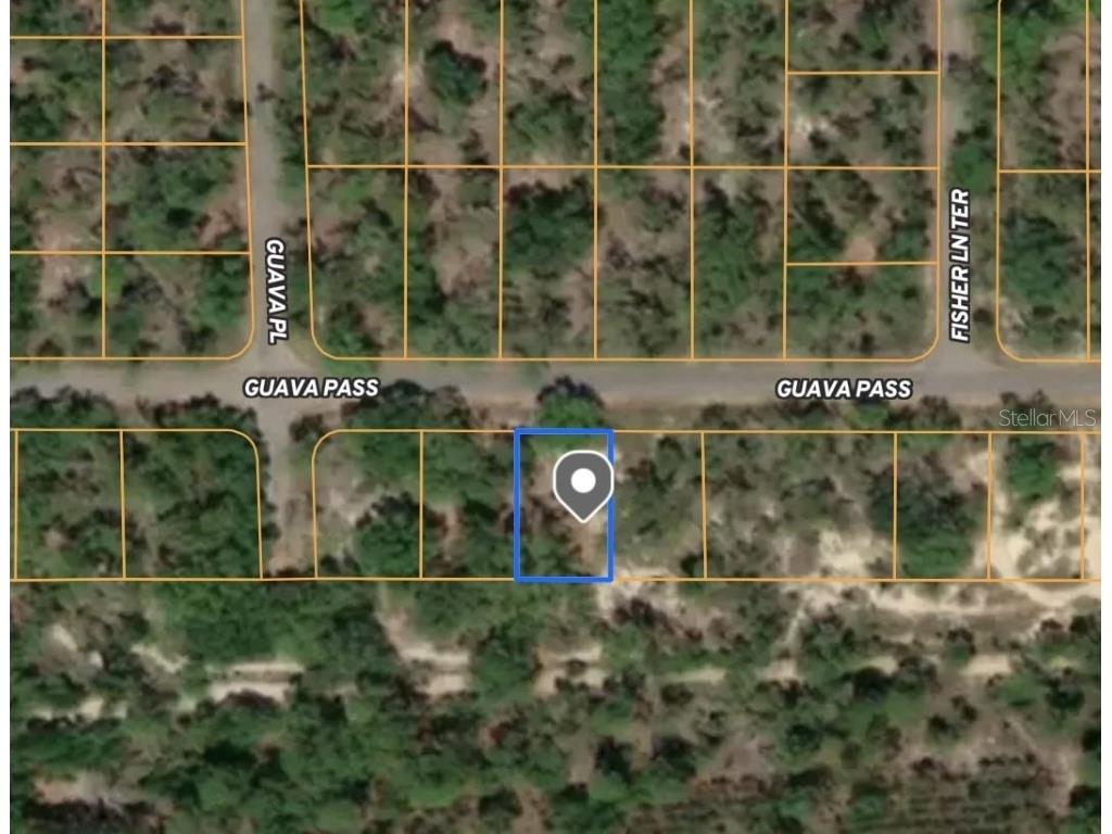 TBD Guava Pass Ocklawaha FL 32179 T3534529 image1
