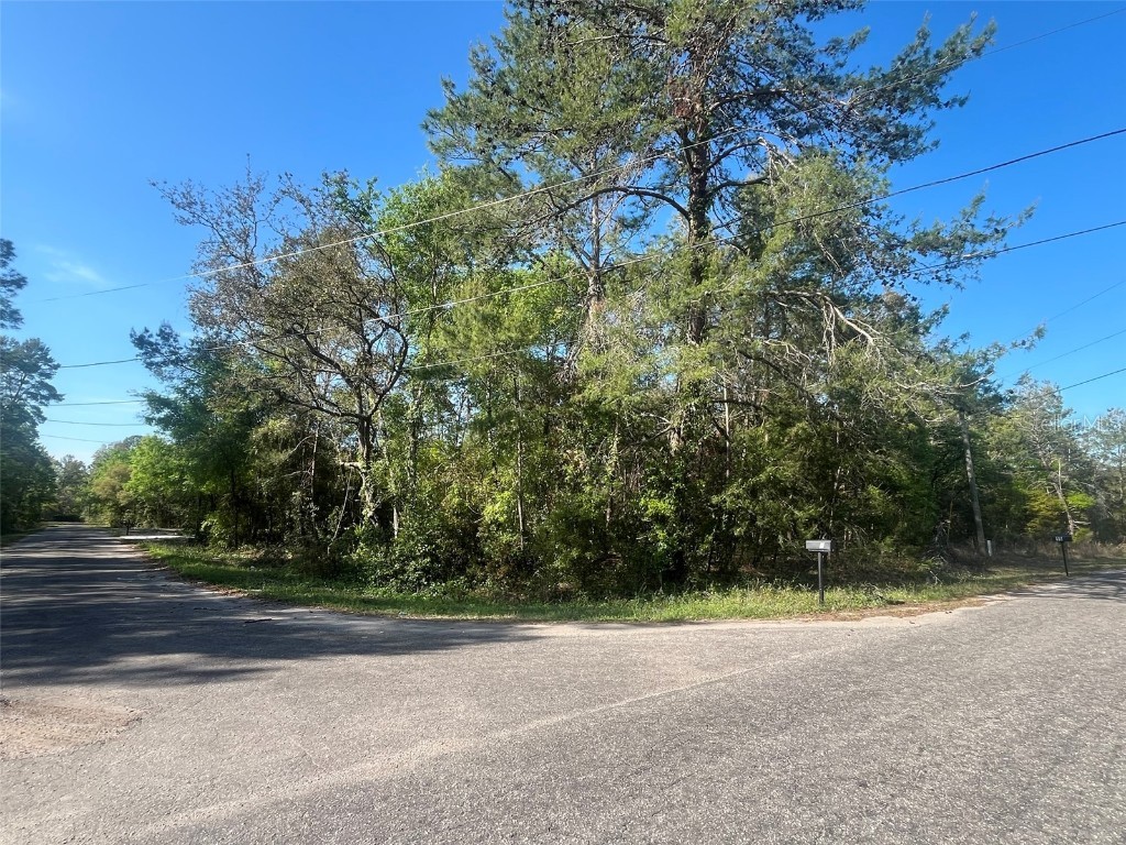 TBD Guava Pass Ocklawaha FL 32179 OK225037 image1