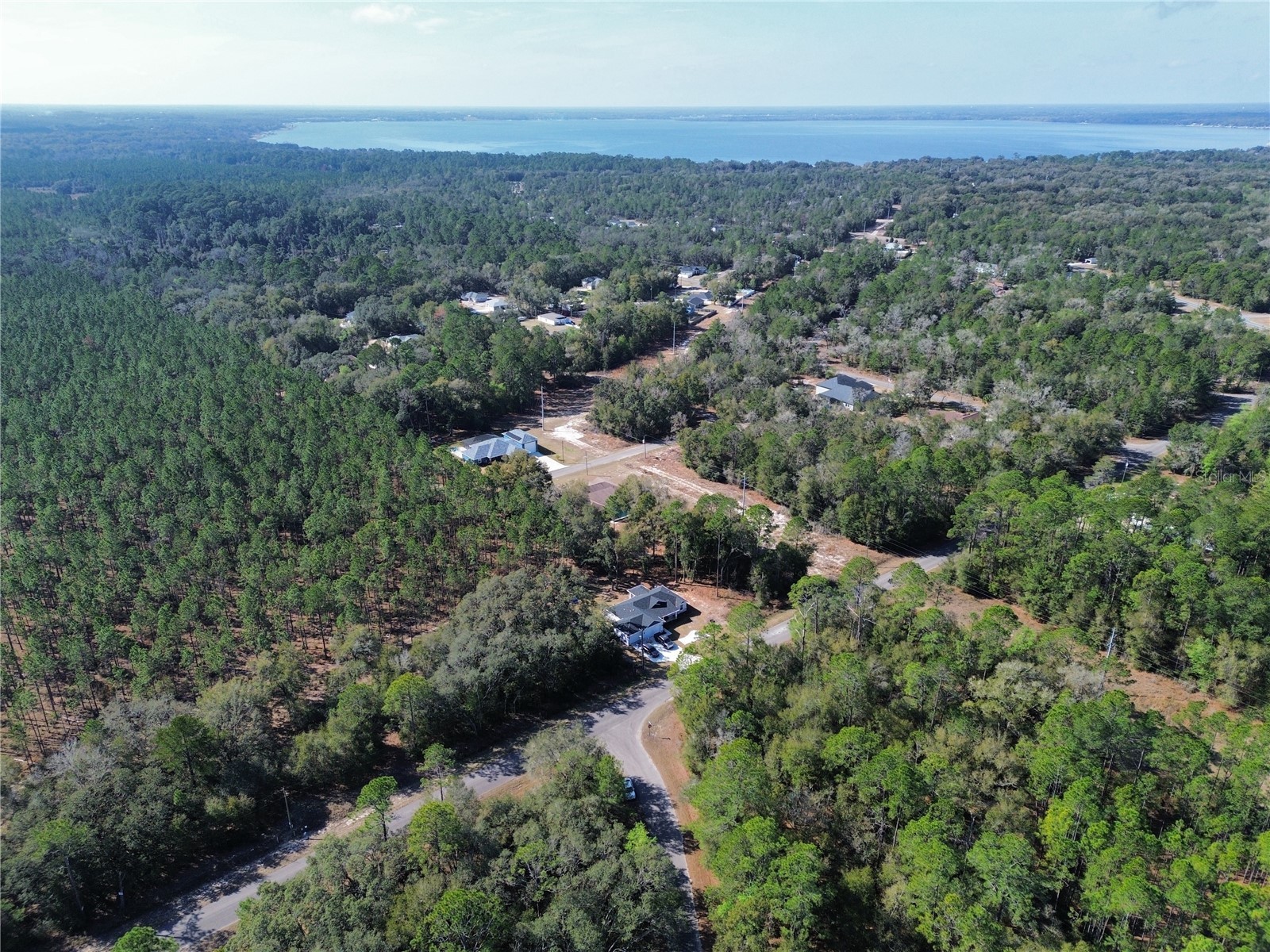 TBD Guava Pass Ocklawaha FL 32179 OM716539 image2
