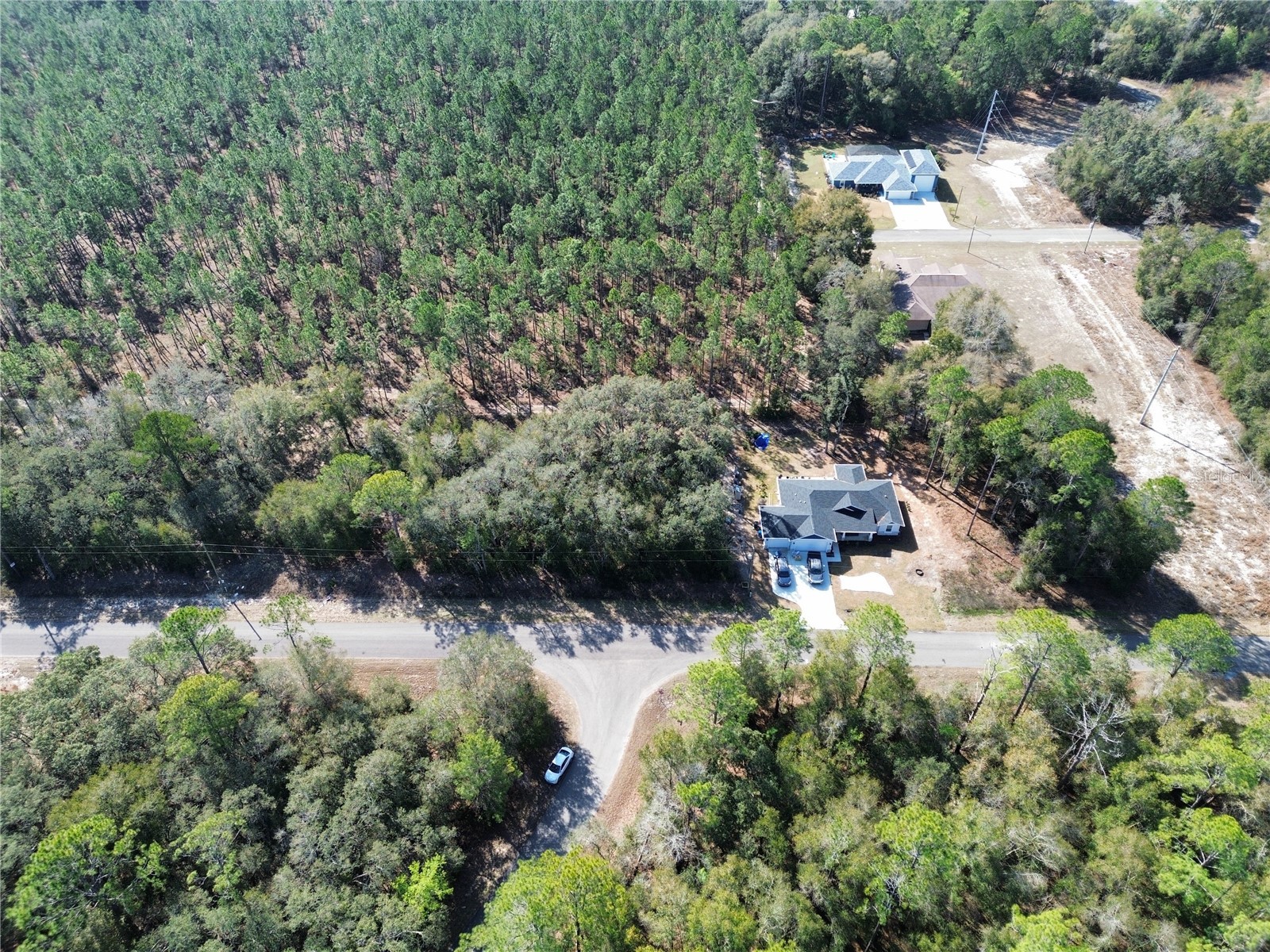 TBD Guava Pass Ocklawaha FL 32179 OM716539 image3