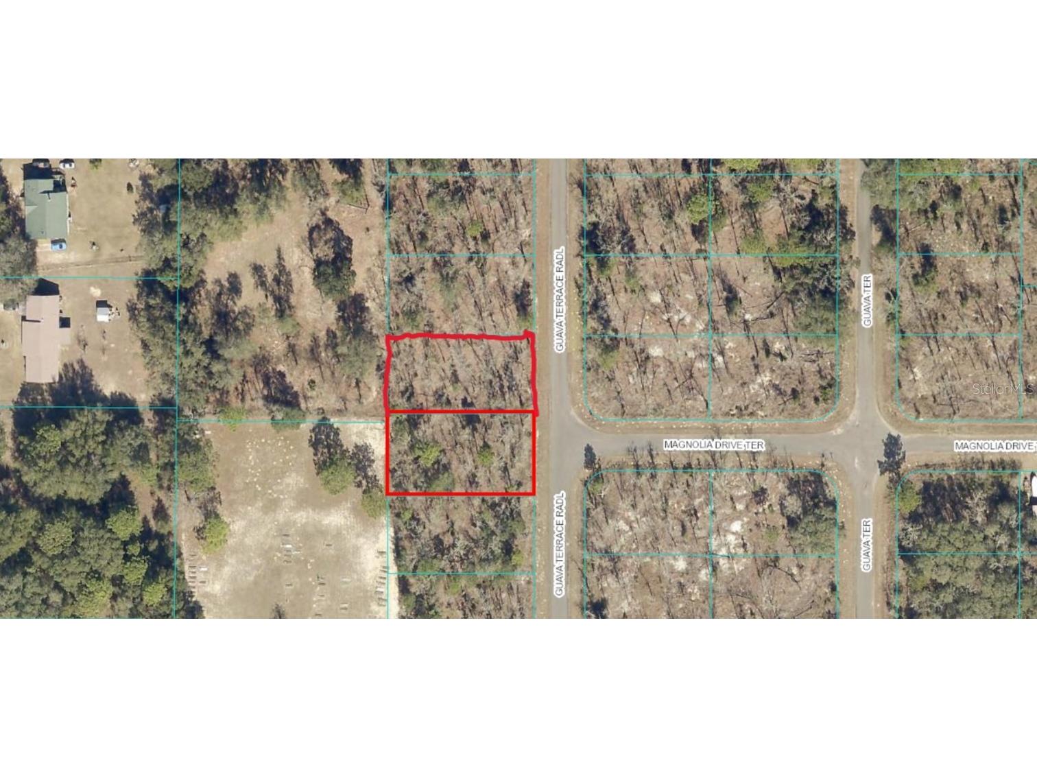 TBD Guava Pass Radial Ocklawaha FL 32179 OM643189 image1