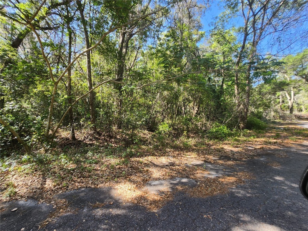 TBD Guava Terr Loop Ocklawaha FL 32179 OM699891 image5