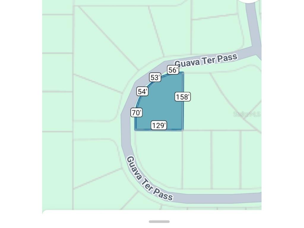 TBD Guava Terr Loop Ocklawaha FL 32179 OM699891 image7