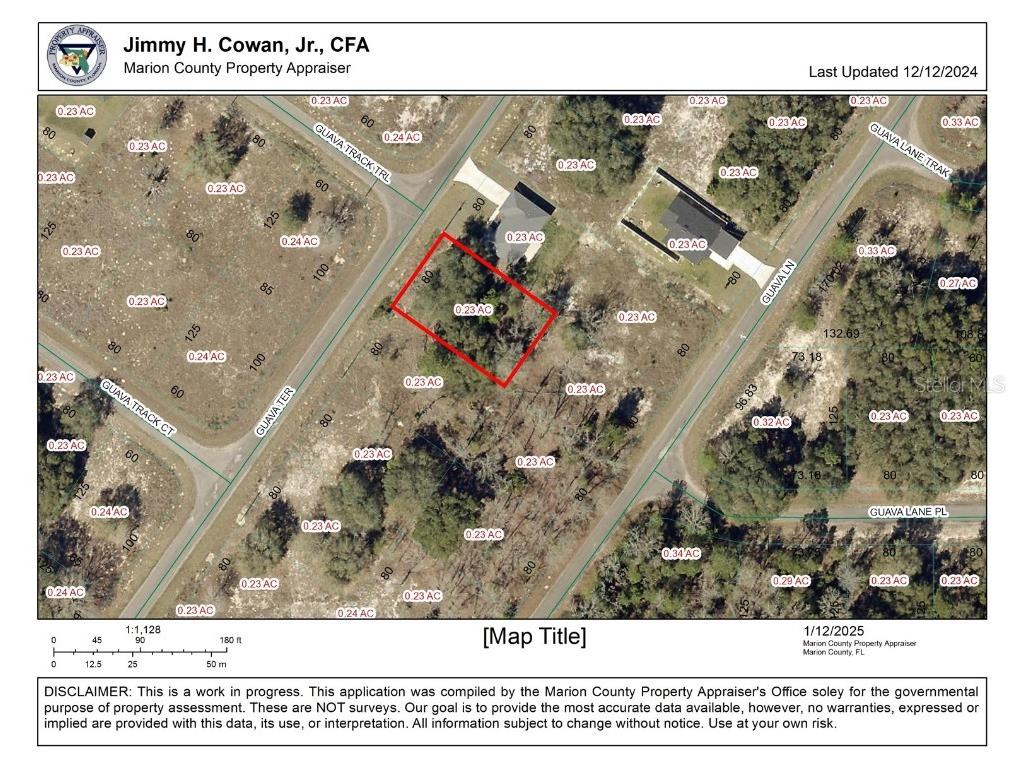 TBD Guava Terrace Ocklawaha FL 32179 O6271864 image1