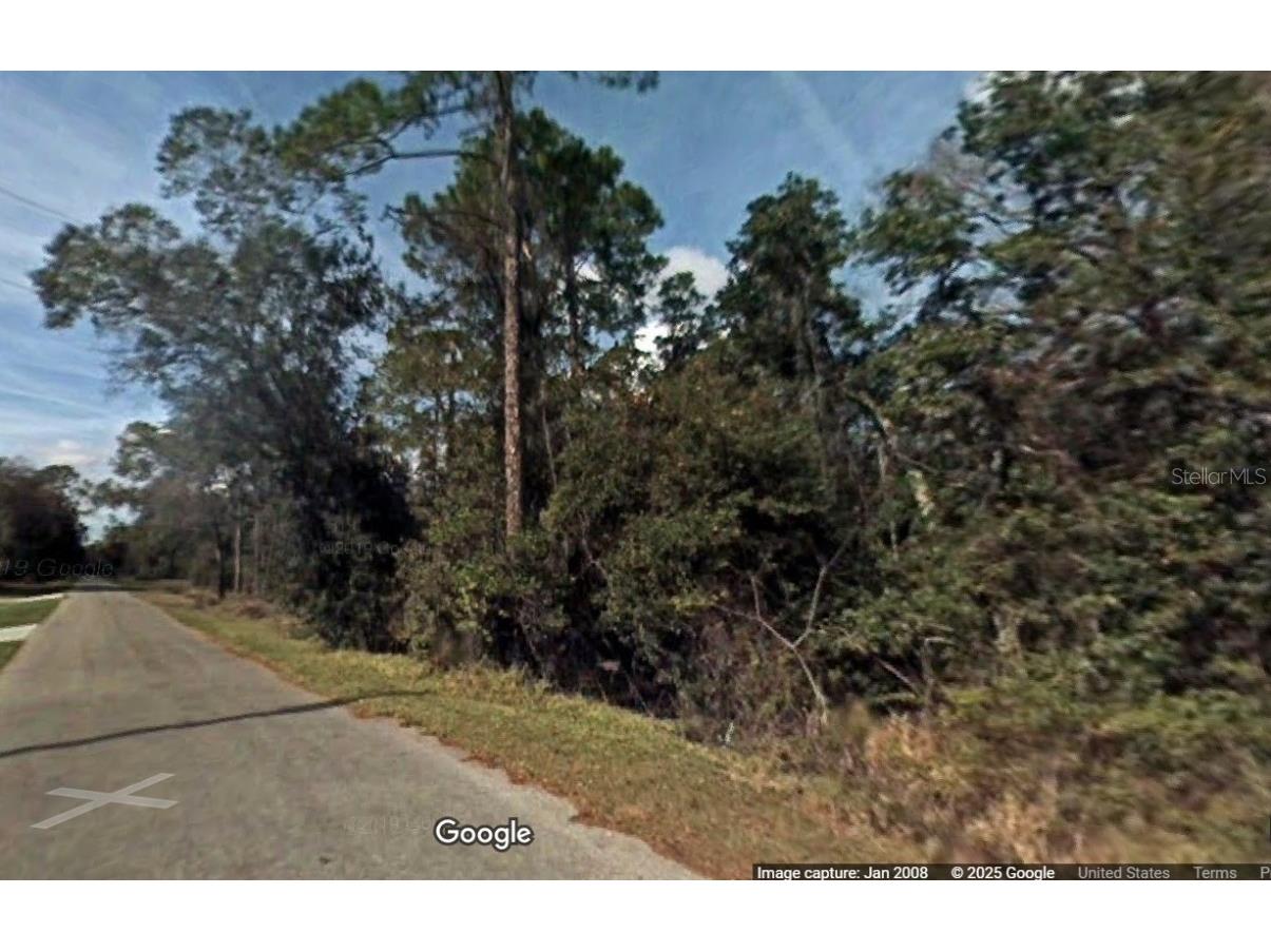 TBD Haines Creek Road Leesburg FL 34788 A4641998 image1
