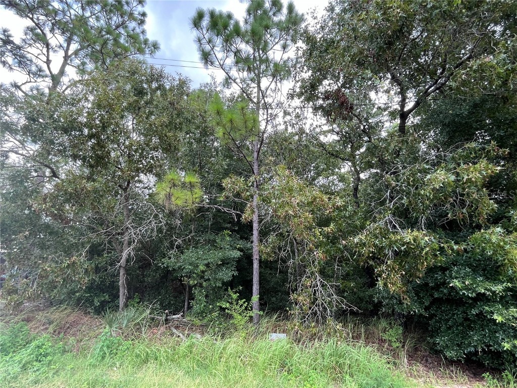 TBD Hemlock Circle Track Ocala FL 34472 OM683596 image1