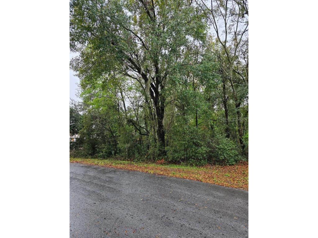 TBD Hemlock Course Ocala FL 34472 OM695886 image1