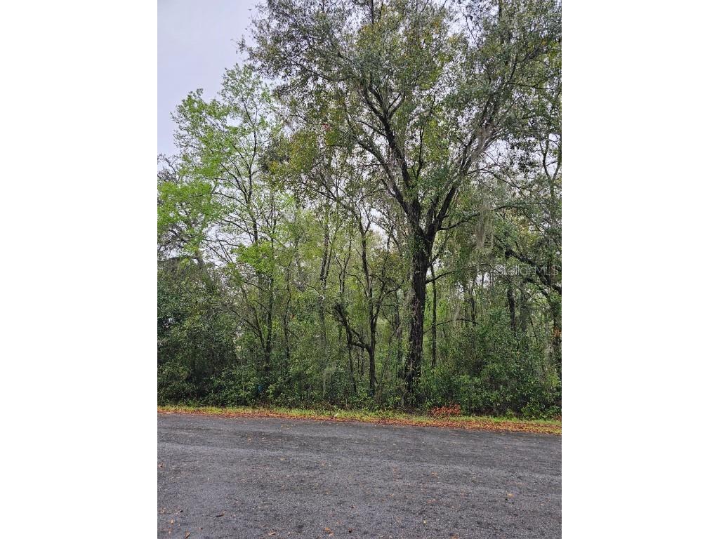 TBD Hemlock Course Ocala FL 34472 OM695886 image3