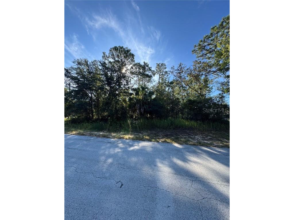 TBD Hemlock Loop Drive Ocala FL 34472 OM710285 image1