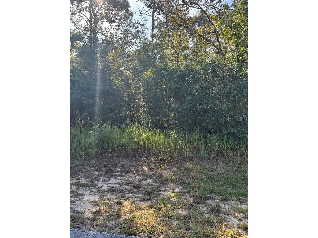 TBD Hemlock Loop Drive Ocala FL 34472 OM710285 image2