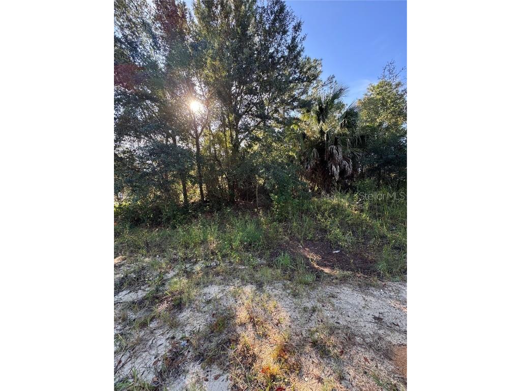 TBD Hemlock Loop Drive Ocala FL 34472 OM710285 image3