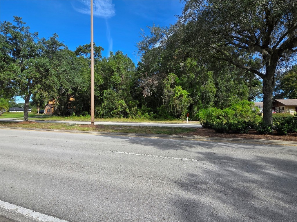 TBD Highway 42 Summerfield FL 34491 G5102619 image1