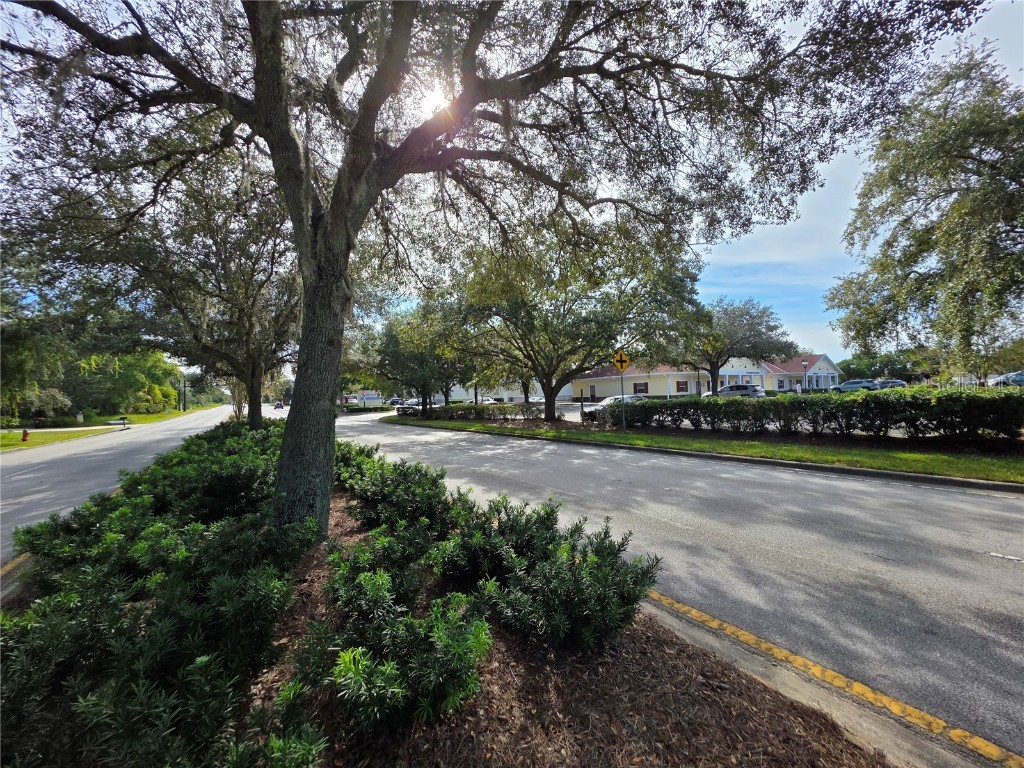 TBD Highway 42 Summerfield FL 34491 G5102619 image3