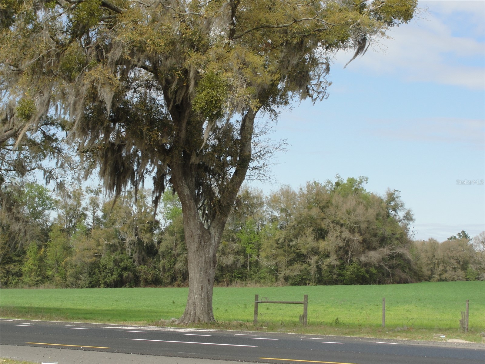 TBD Highway 441 Alachua FL 32615 GC536693 image5