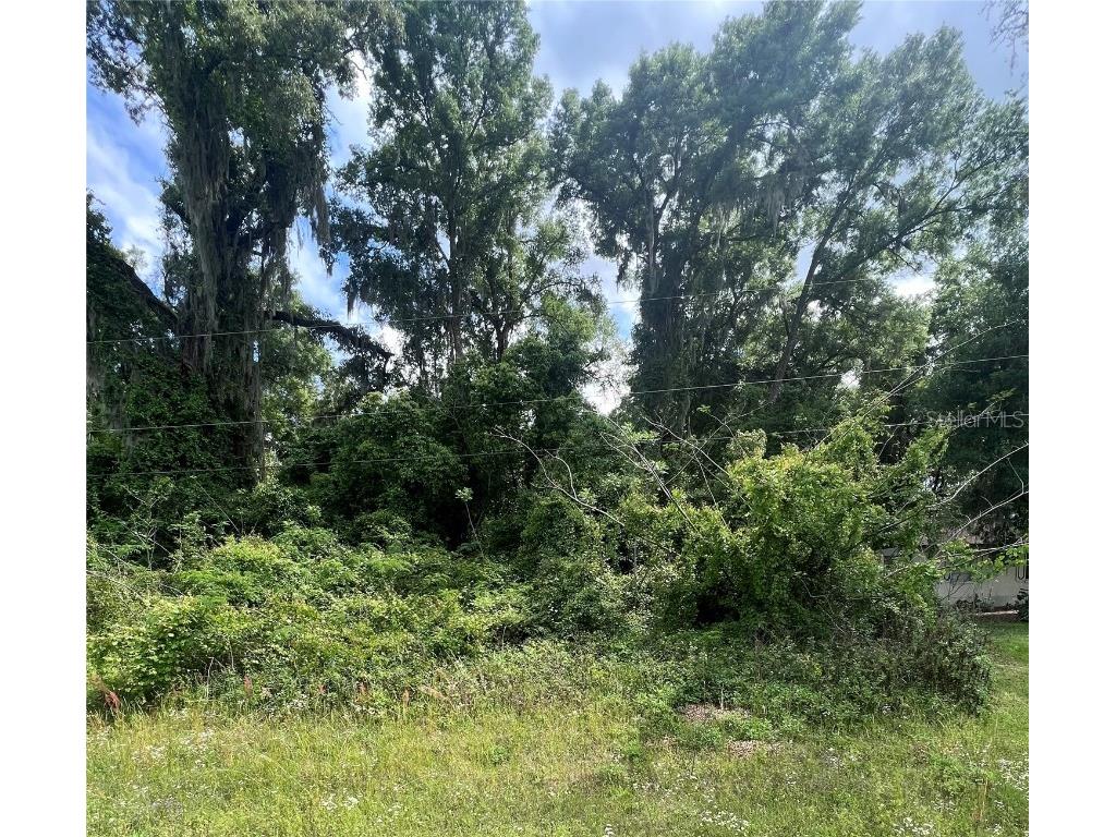 TBD Highway 484 Belleview FL 34420 OM676025 image1