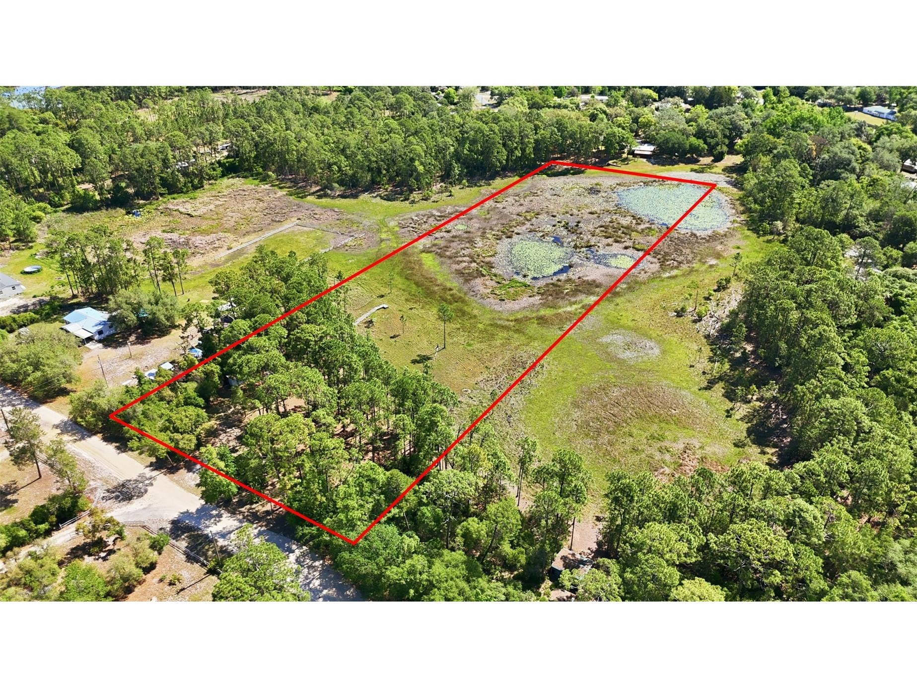 TBD Holly Branch Road Eustis FL 32736 - Deer Lake G5111513 image1
